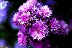 手机攻击器APP下载